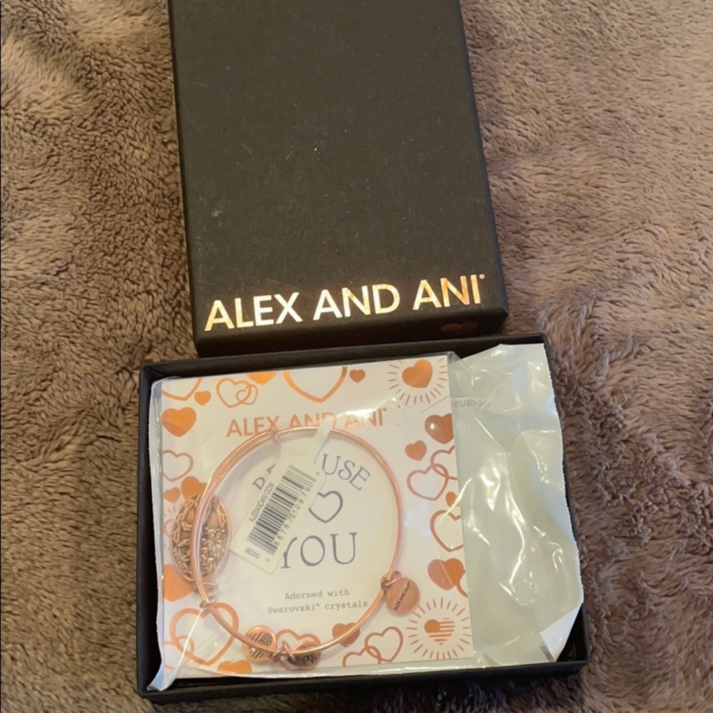 Alex and Ani Friendship Bracelet